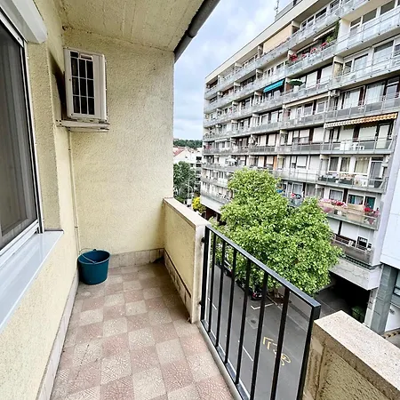 Blue Deer * Budapeste